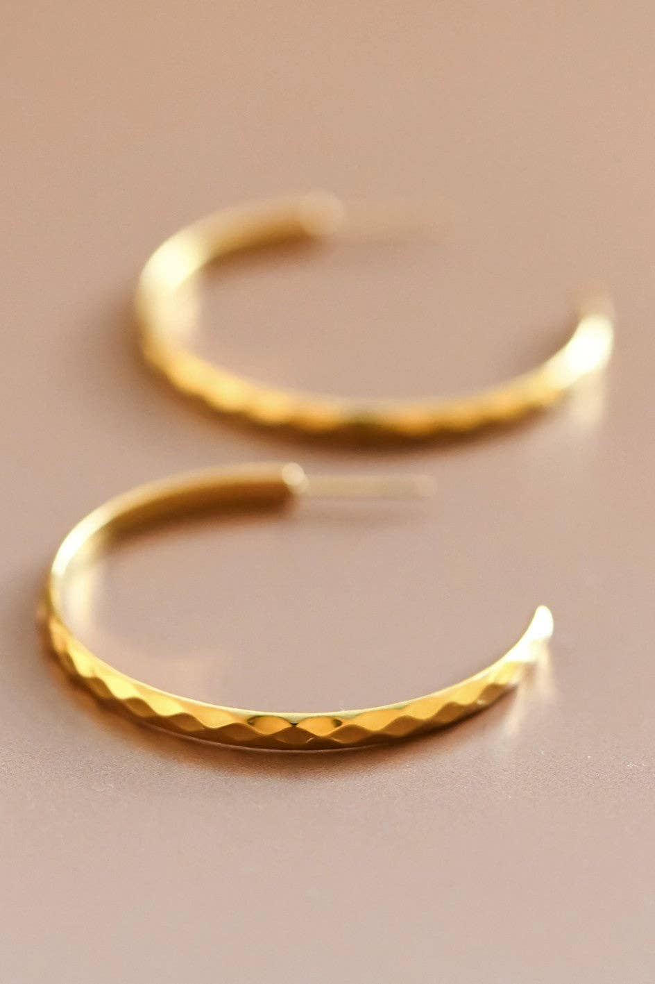 18K Gold PVD Plated Waterproof Stainless Steel Hoop Earrings